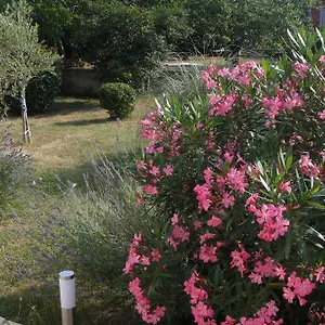 Appartamento Adriana, Labin (Istria)